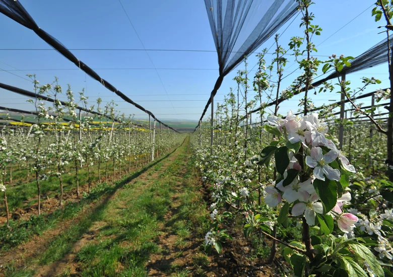 Zertifizierte Produktion mit Guten Landwirtschaftlichen Praktiken