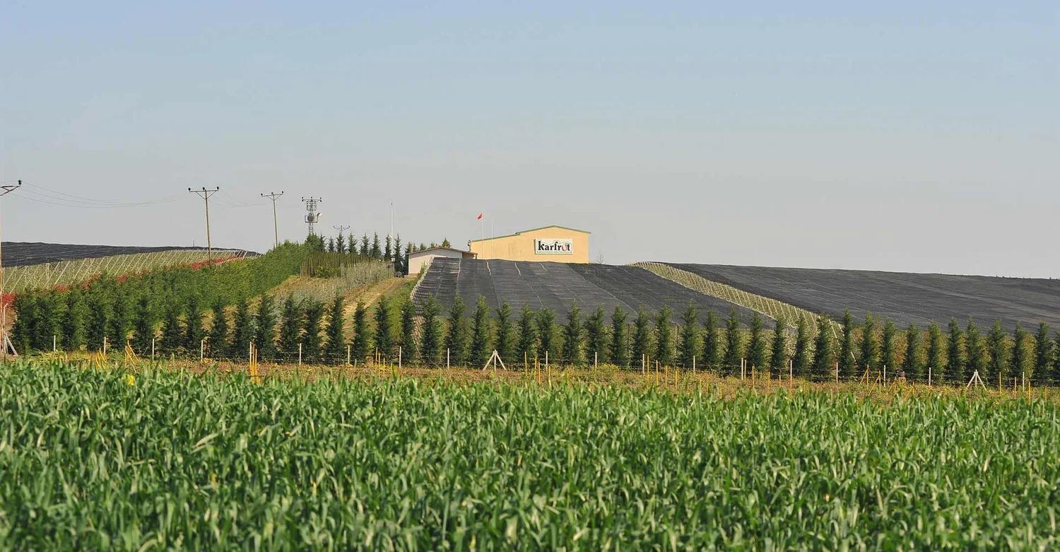 Türkei auf Platz drei bei der weltweiten Apfelproduktion